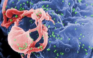 Séropositivité, recul des nouveaux diagnostics au HIV à Paris :…